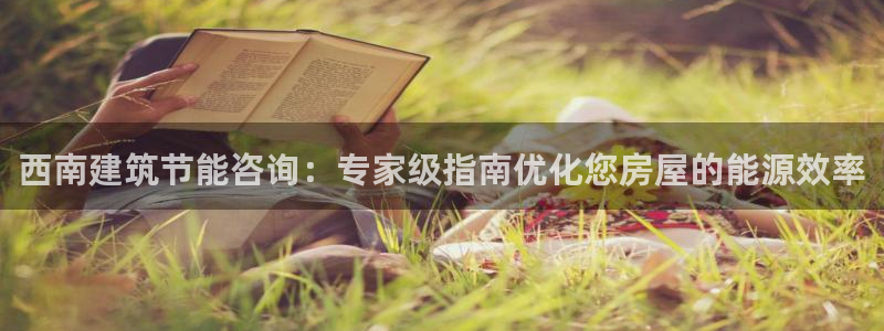 e尊国际-可可计划：西南建筑节能咨询：专家级指南优化您房屋的能源效率