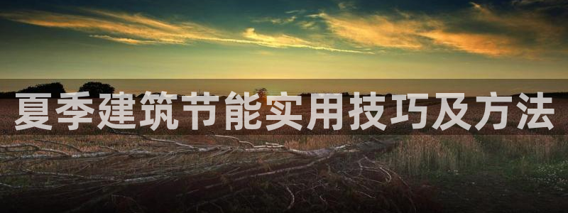 e尊国际官网app